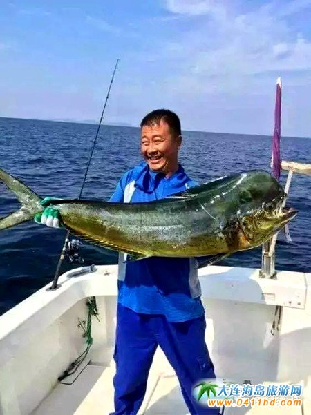 �L���h����