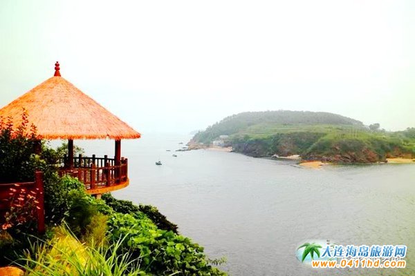 �V¹�u����