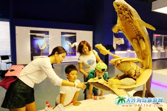 ������(ji��)����