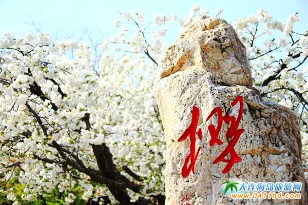 2018���B��혙ѻ���(ji��)