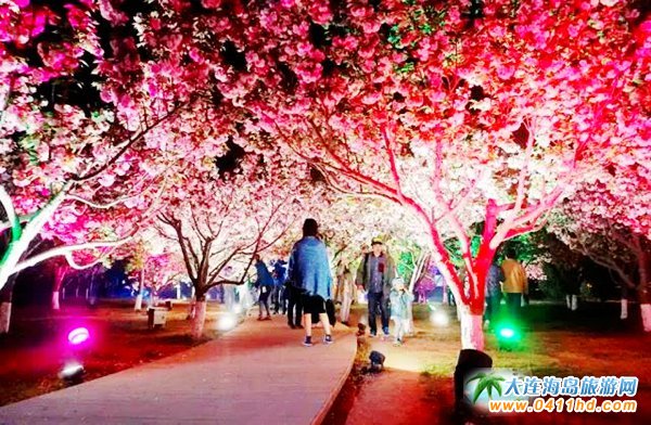 2018���B��혙ѻ���(ji��)