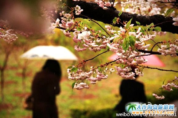 2018���B��혙ѻ���(ji��)