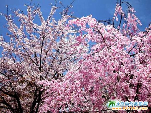 2018���B��혙ѻ���(ji��)