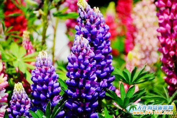 ���ĵ���@