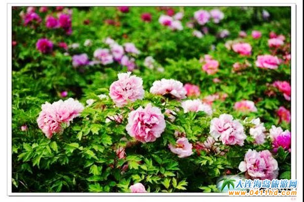 ���ĵ���@