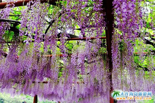 ���ĵ���@