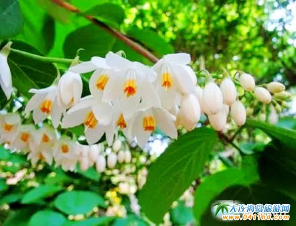 ���ĵ���@