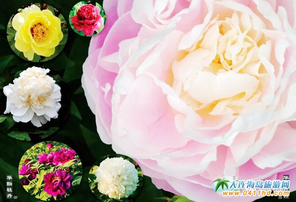 ���ĵ���@