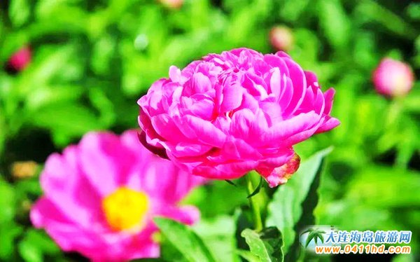 ���ĵ���@