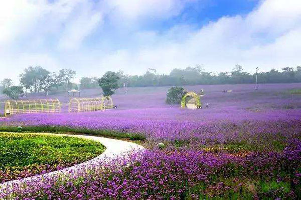 ���B��ʯ�������}������С�Y�w�(y��n)һ��������Ʒ����һ����