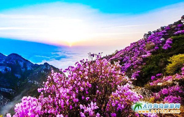 2018���ɽ���N���p������