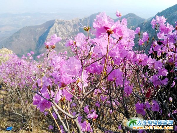 ���ɽ���N��ʢ�_�r(sh��)�g��������