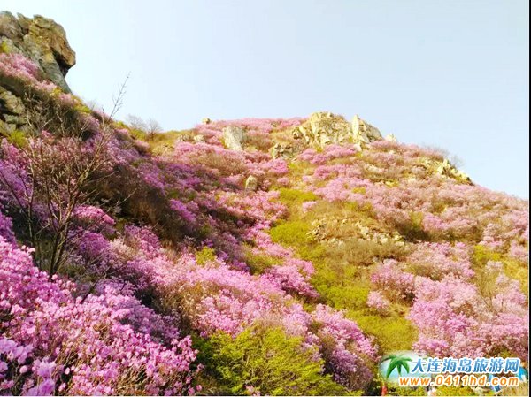 ���ɽ���N�������_