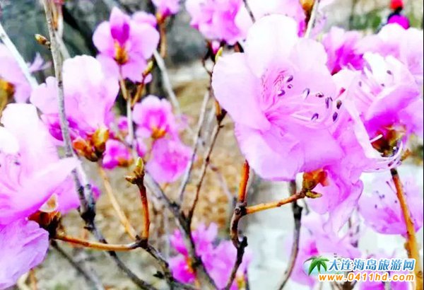 ���ɽ���N�������_