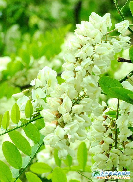 ���B�p����(hu��)