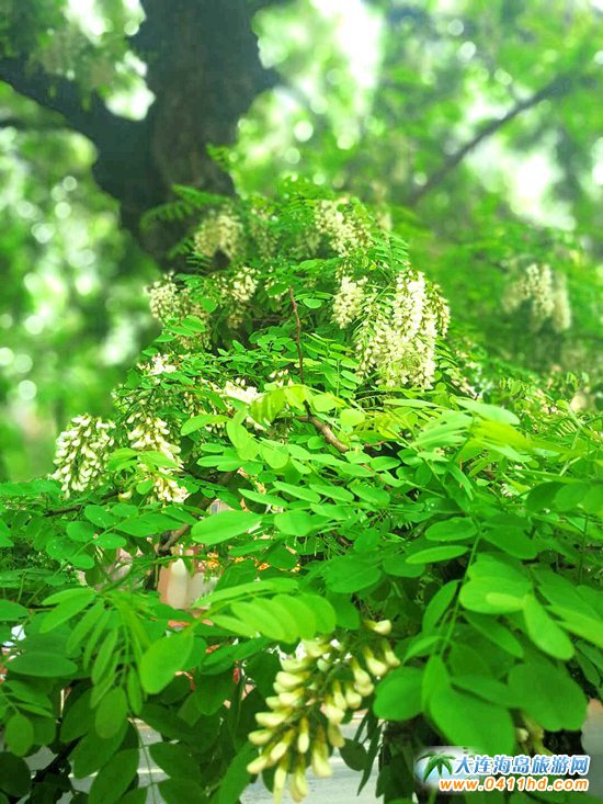 ���B�p����(hu��)