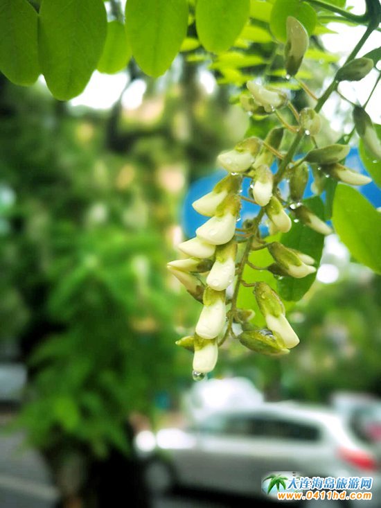 ���B�p����(hu��)