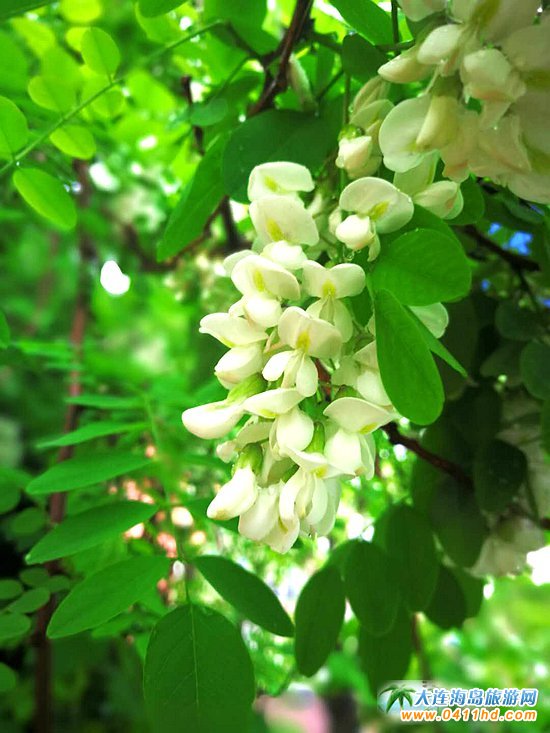 ���B�p����(hu��)