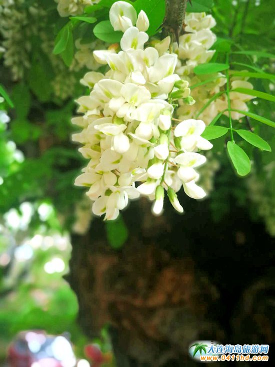 ���B�p����(hu��)