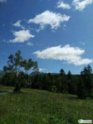 ���B���L��ɽ���� �L��ɽ���  ���B���L��ɽ���ΈF(tu��n)