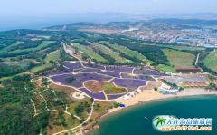 ���B��ʯ���Đ��u�Ļ����e���@һ����