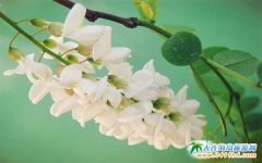 ����һ�껱�������҂�һ��ȥ�f�Ӱ�