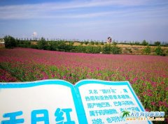 2018���B�׌�ɭ��¶�I����ڴ��B���ƻ�ϫ��޹�²��f�@