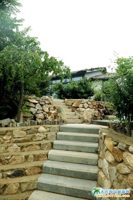 ���ɽ���