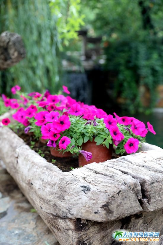 ���ɽ���