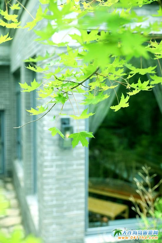 ���ɽ���