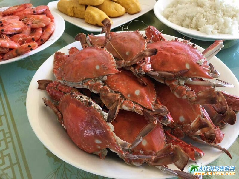 �P�Q�u����Ƶ�,�P�Q�u�Ϯ�ǰΨһ�����Ǽ��ߙn�Ƶ��e�^