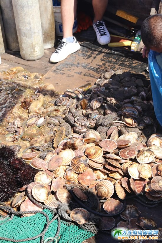 ����u�O��(ch��ng)�_�O��(ji��)