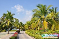 ʮһ���g��������·��  ���B�������p�w6����