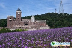 2018���﹝(ji��)��ô�^�����﹝(ji��)޹�²��f�@��ʲô�������