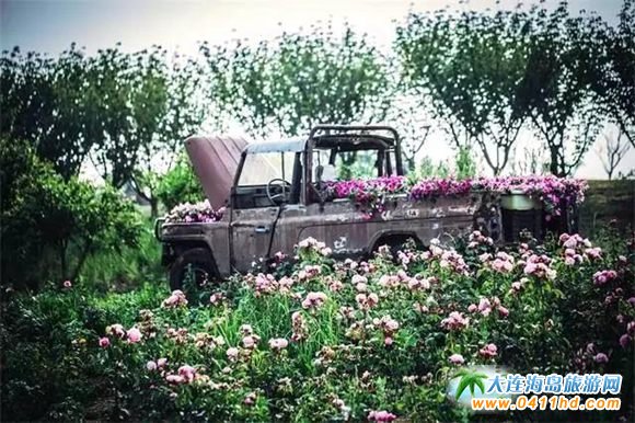 ���B��ʯ���Đ��uľ��/��܇(ch��)