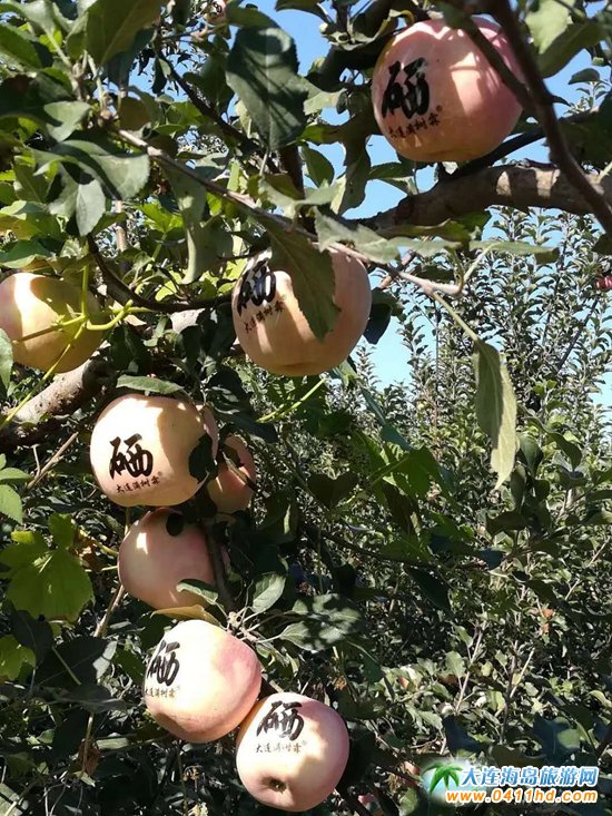 ���B�w��ɽһ����