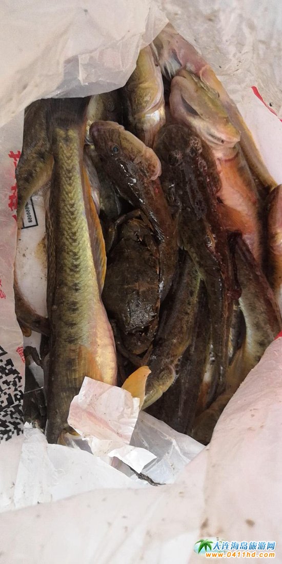 ���B�w��ɽһ����