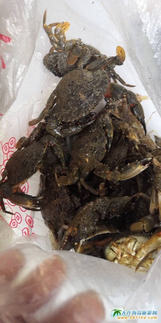 ���B�w��ɽһ����