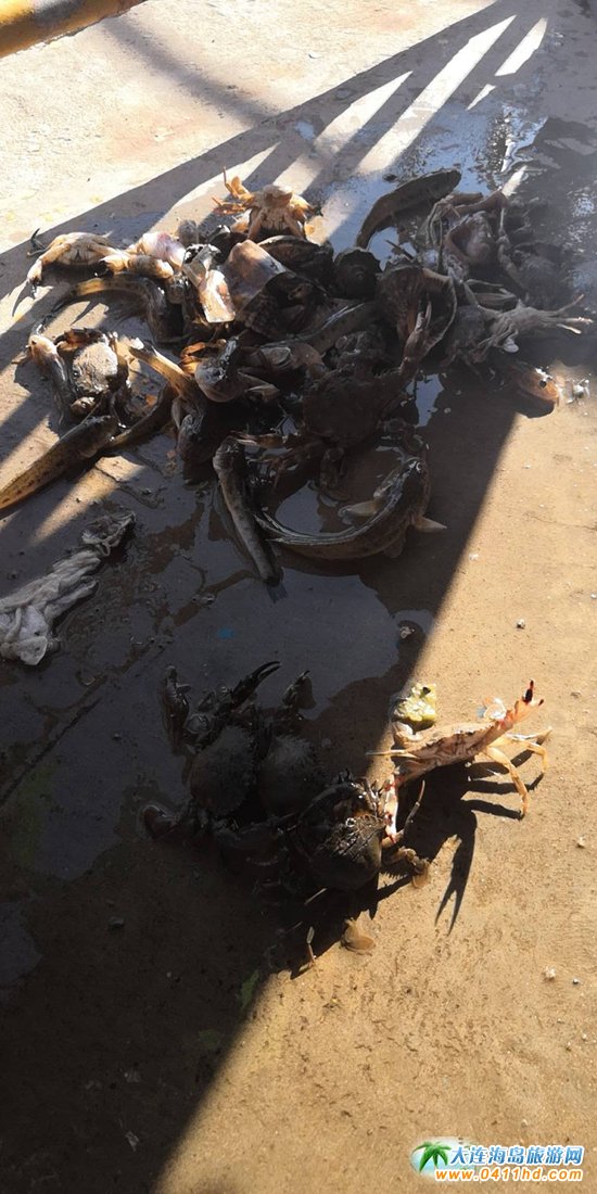 ���B�w��ɽһ����