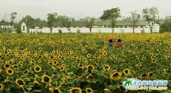 2018�Ї��������e�l(xi��ng)��