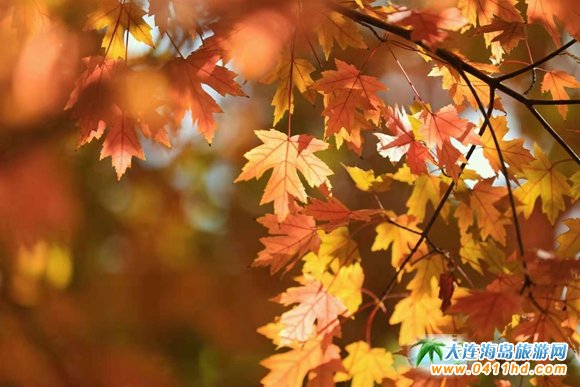 ���B�p���ٵ�