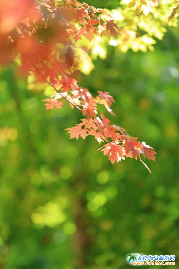 ���B�p���ٵ�