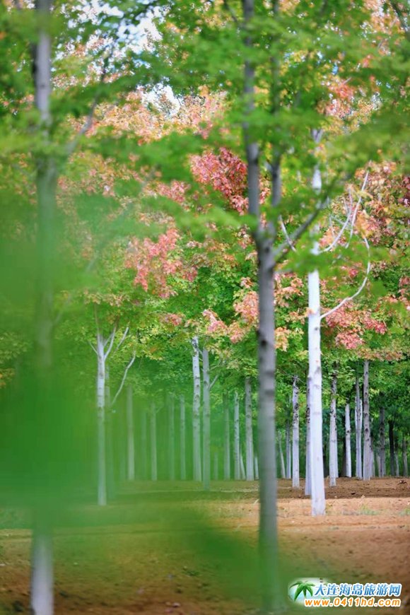 ���B�p���ٵ�