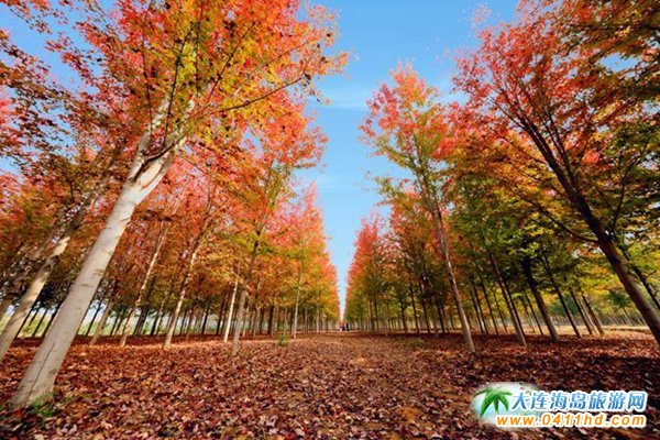 ��ʮ�ﱤ���~��