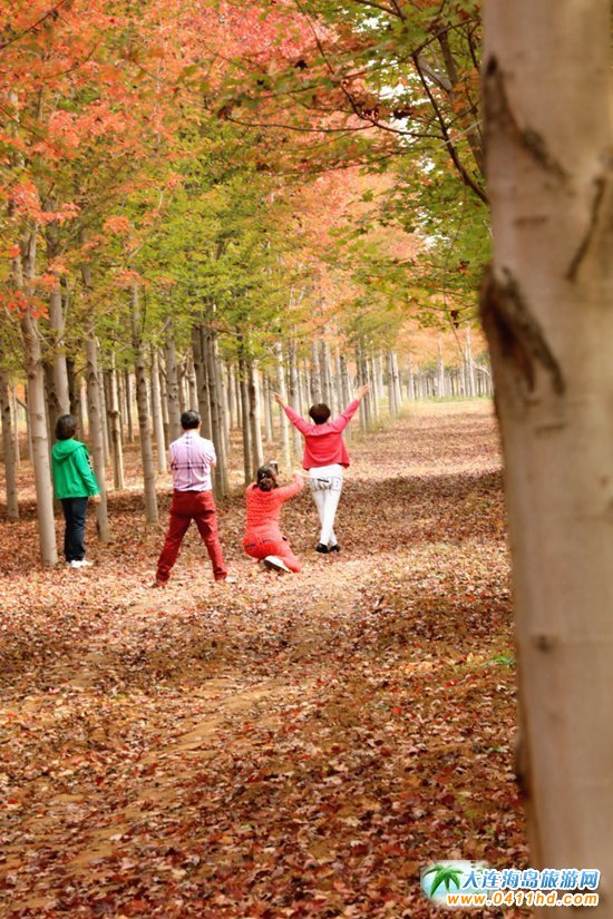 ��ʮ�ﱤ���~��