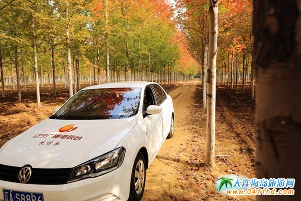 ��ʮ�ﱤ���~��