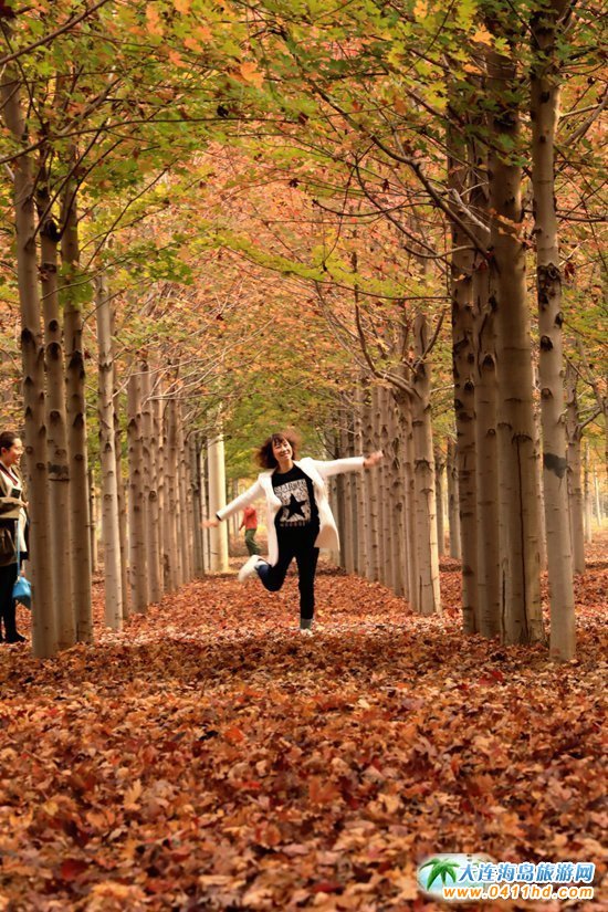 ��ʮ�ﱤ���~��