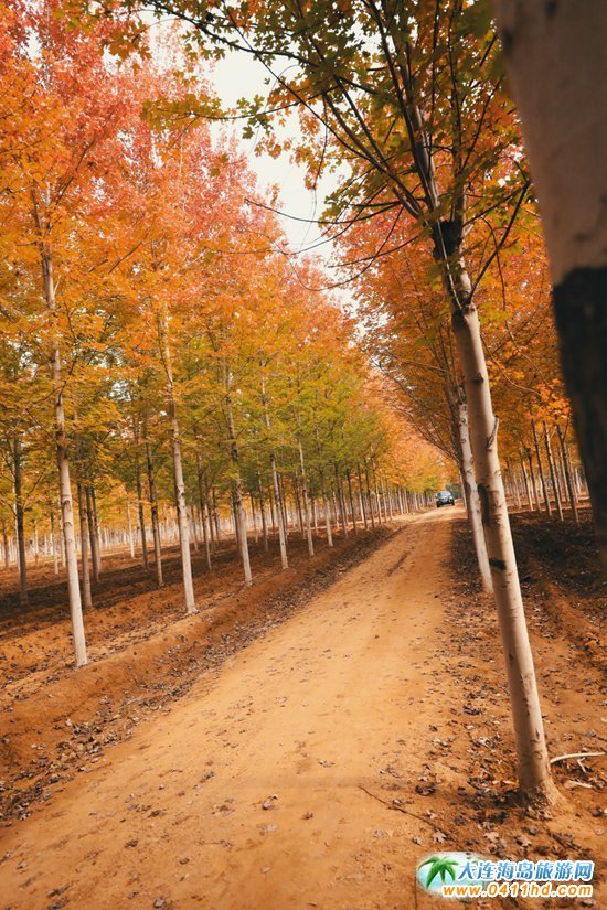 ��ʮ�ﱤ���~��