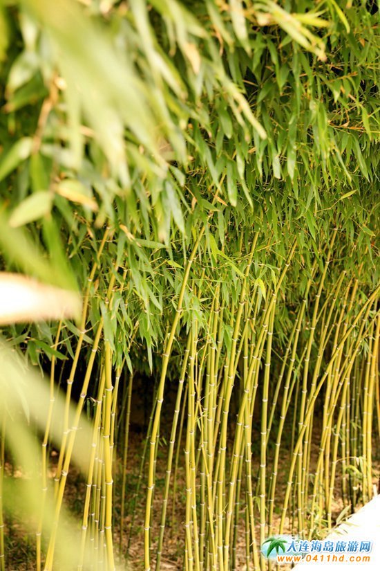 ��ʮ�ﱤ���~��