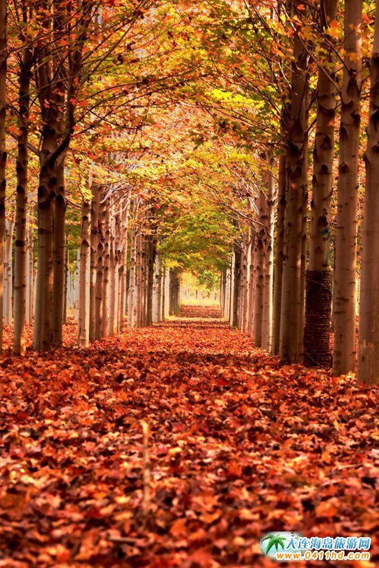 ���B���~��